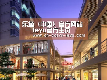 案例展示一(图1)