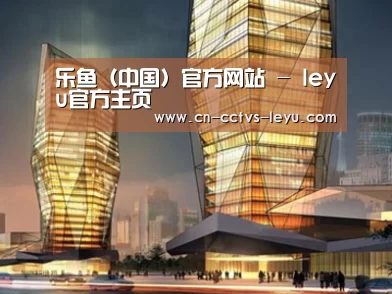 案例展示三