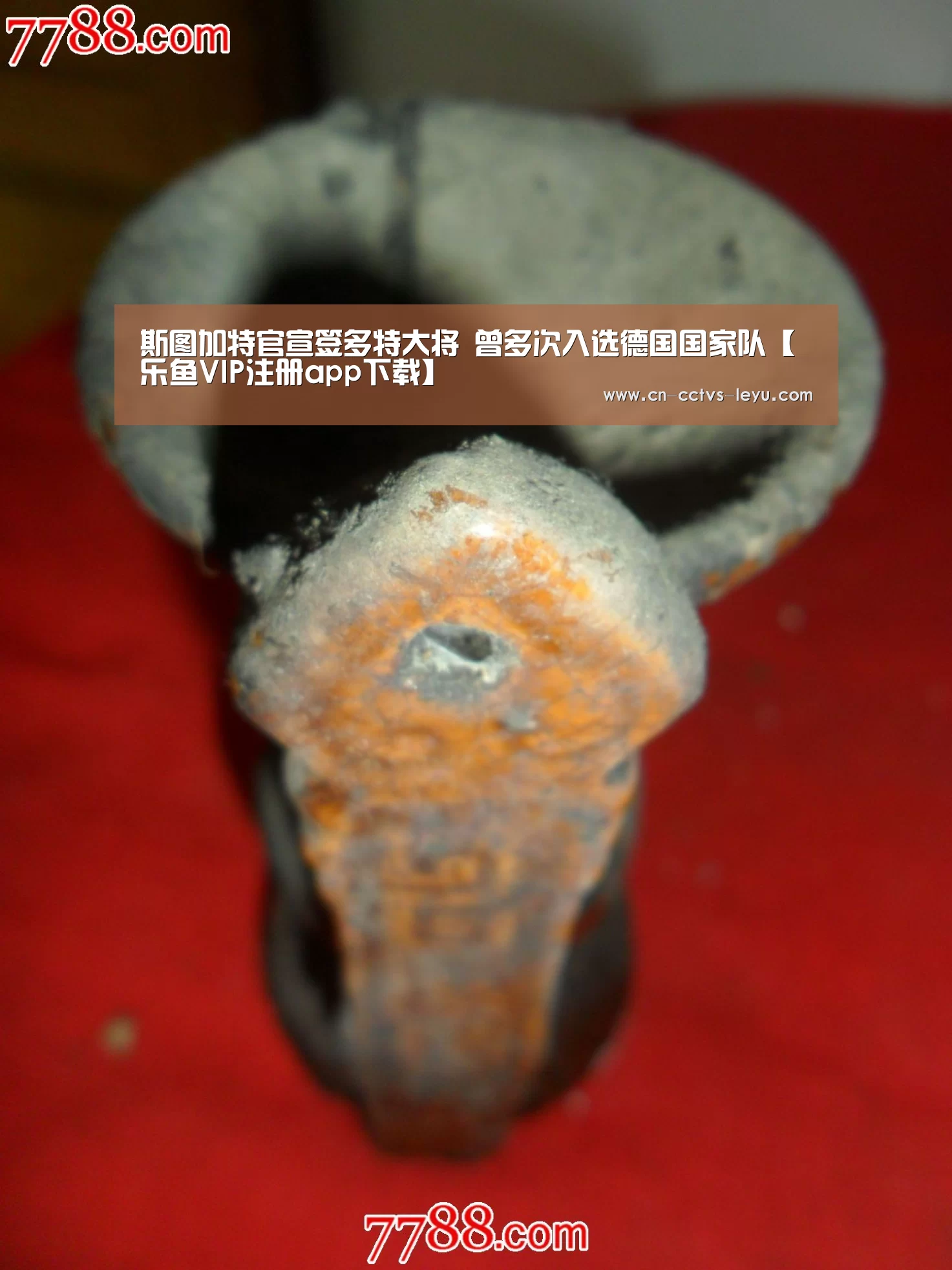 斯图加特官宣签多特大将 曾多次入选德国国家队【乐鱼VIP注册app下载】(图1) leyu sports