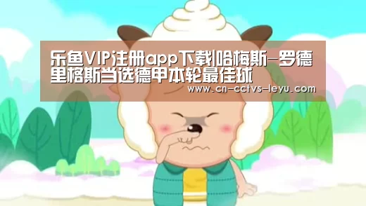 乐鱼VIP注册app下载