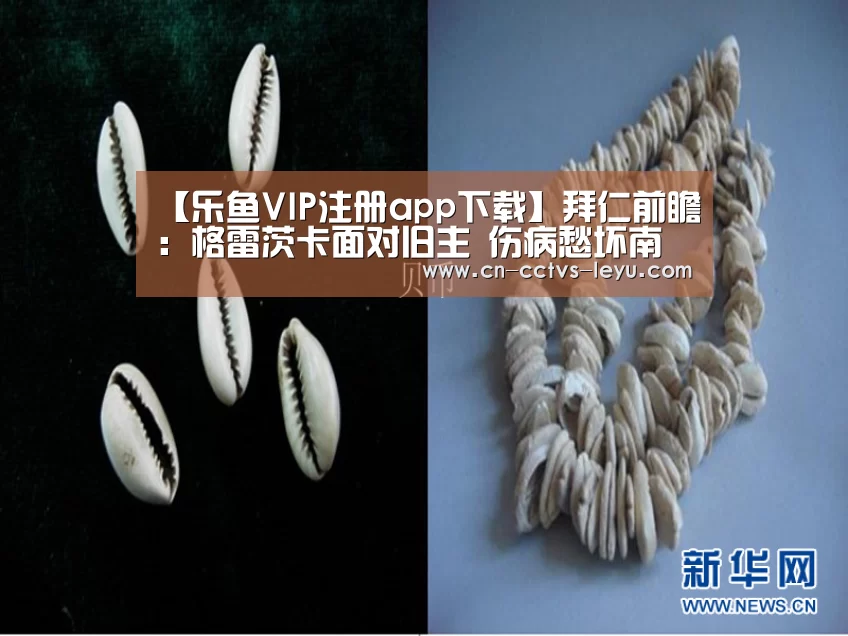 登录入口