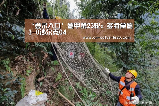 leyu sports