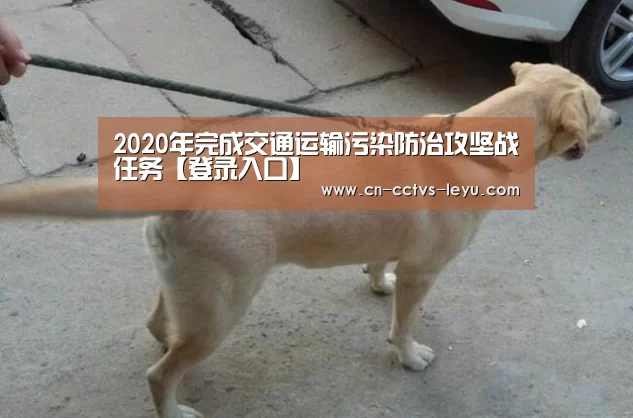 乐鱼体育